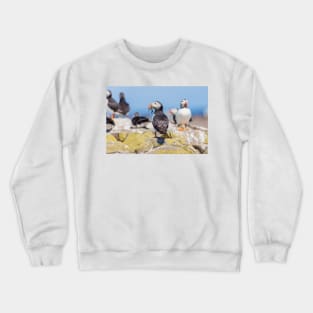 Atlantic Puffin with Sand Eels Crewneck Sweatshirt